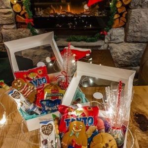 Toy Show Treat Box  – Made to Share